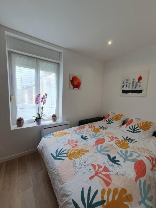 Studio Coquelicot Apartment น็องซี ภายนอก รูปภาพ