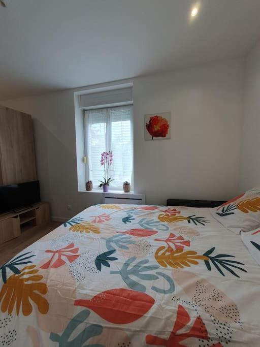 Studio Coquelicot Apartment น็องซี ภายนอก รูปภาพ