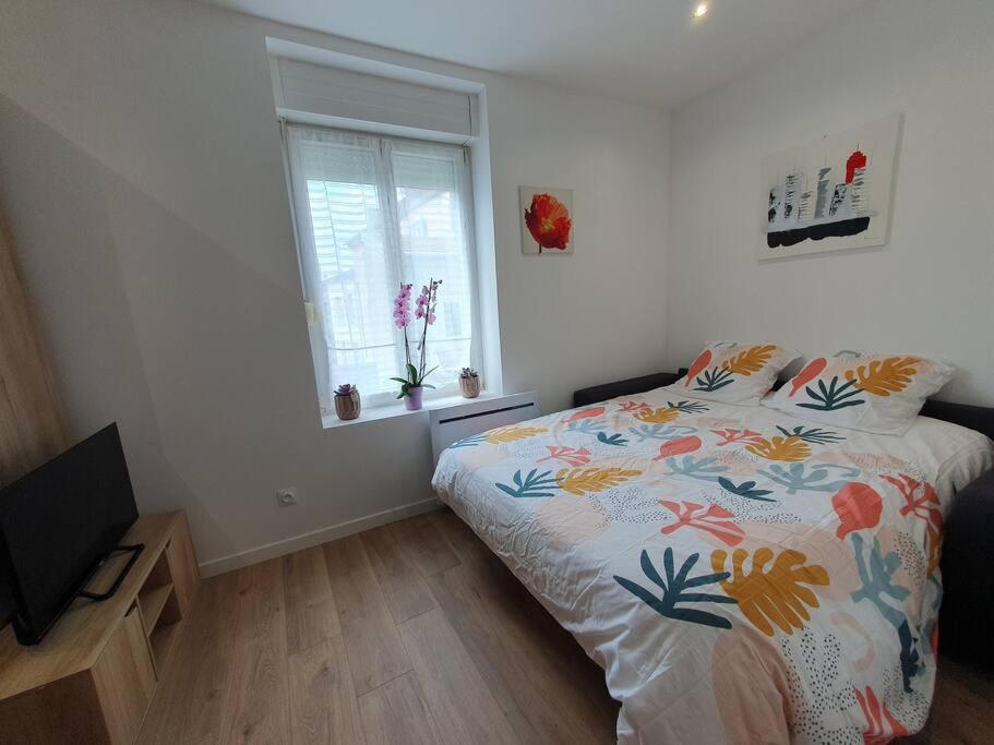 Studio Coquelicot Apartment น็องซี ภายนอก รูปภาพ